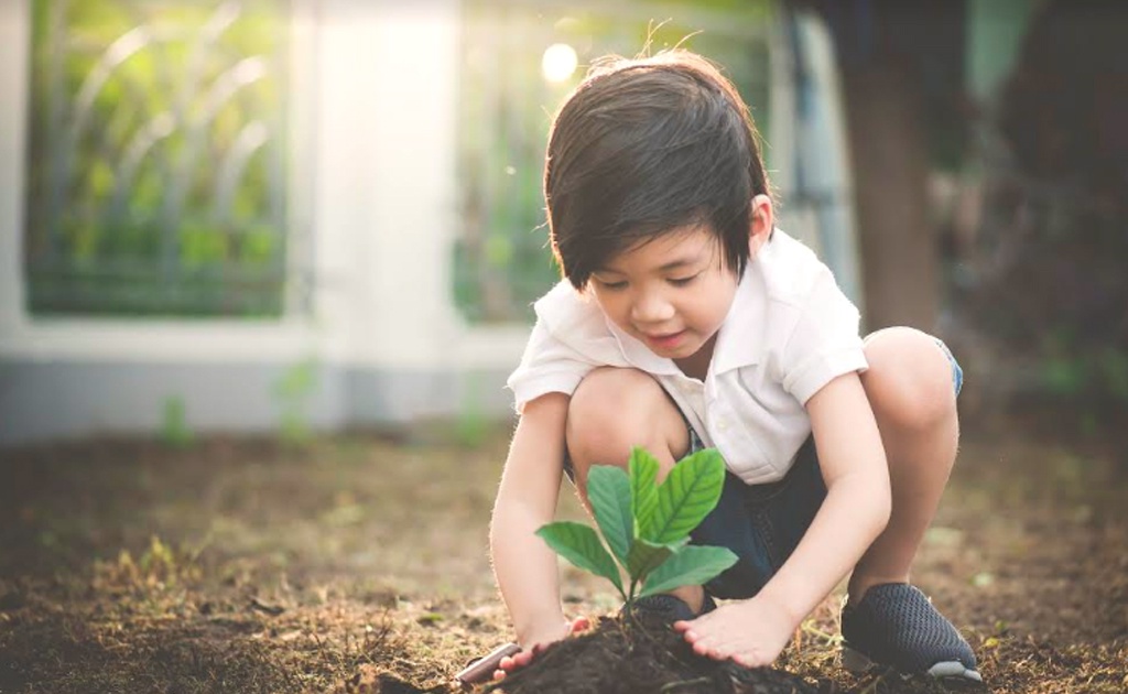 Have fun during the pandemic by planting trees