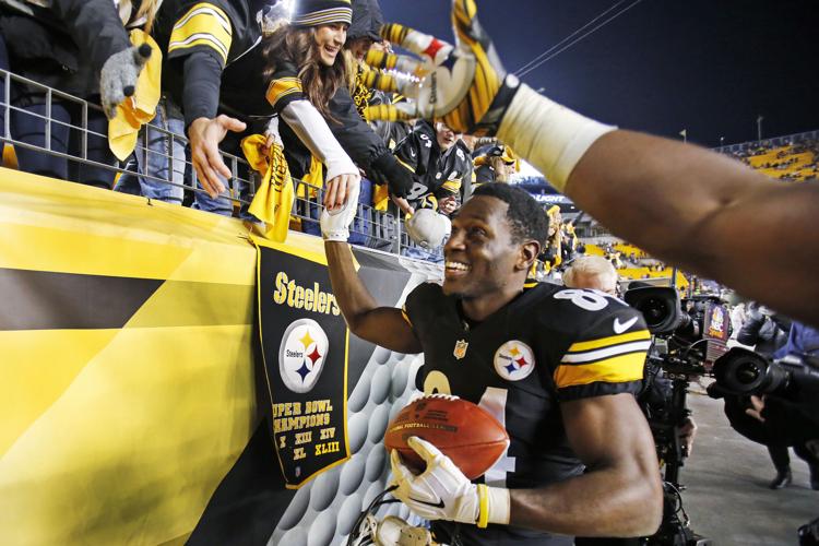 Steelers win AFC North title | Steelers | observer-reporter.com