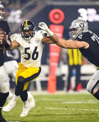 Steelers can win the AFC North, according to analyst - Steel City  Underground